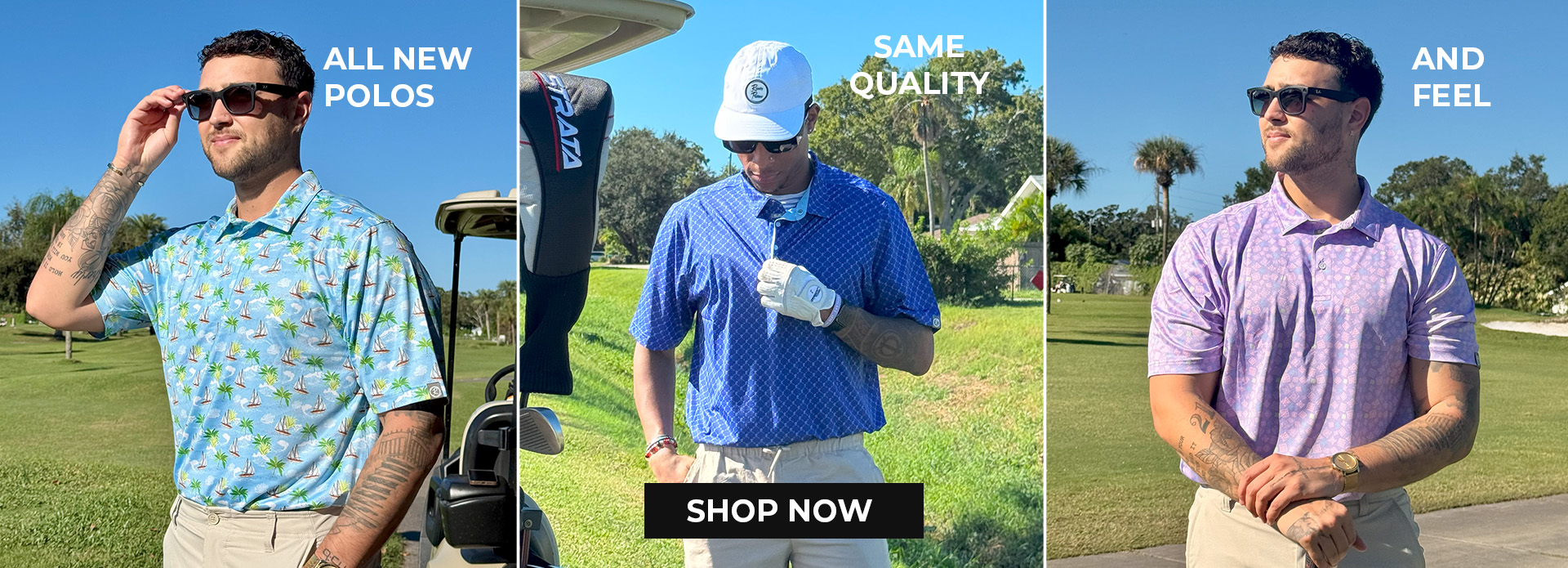 Check new collection